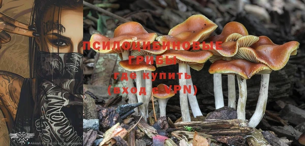 MDMA Premium VHQ Зерноград