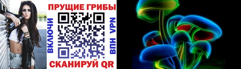 Купить закладки  Давлеканово  Галлюциногенные грибы Psilocybe 